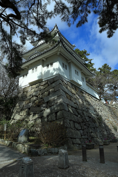 津城 模擬三重櫓（熊野市に住むと、低額料金で参加出来ます）　くまの高虎研究会のメンバーです。