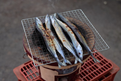頂いたさんまを七輪で焼きます。